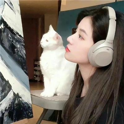 绝命档案