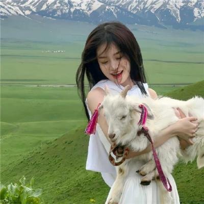 风骚律师第一季